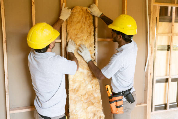 Best Attic Insulation Installation  in Ocoee, FL